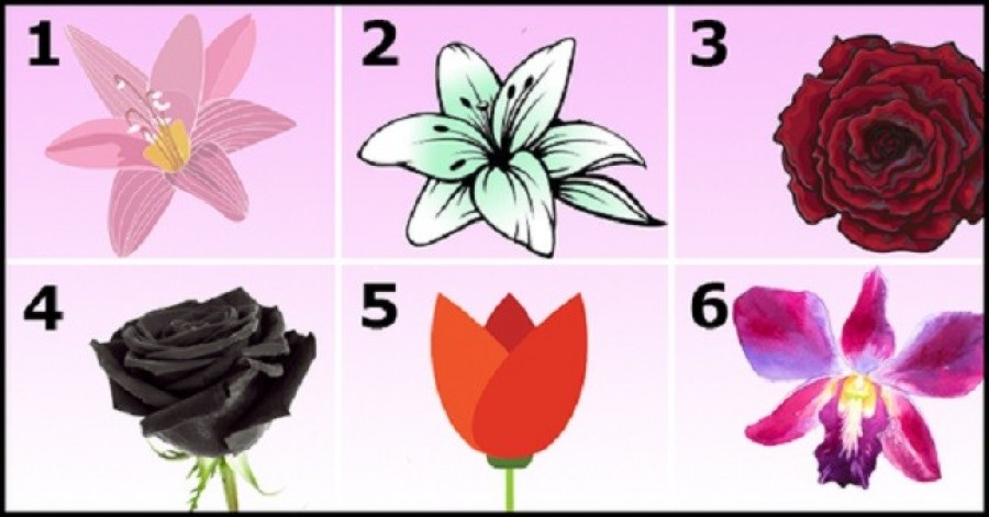 Melyik virágot tartod a legszebbnek az alábbiak közül? Válassz és megtudhatod, mit árul el a személyiségedről! 