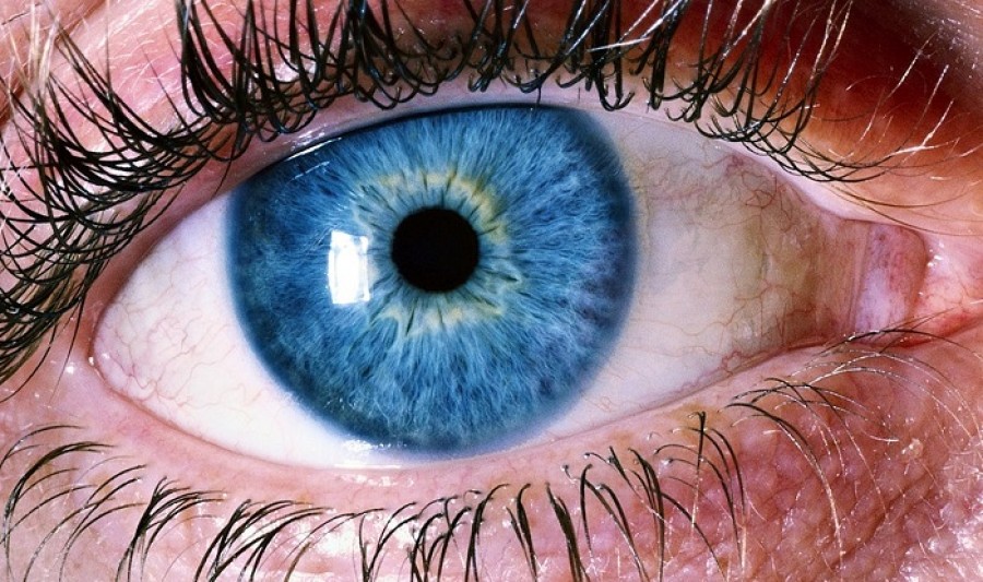 A kék szemű emberek rejtélye, amelyről csak kevesen tudnak!