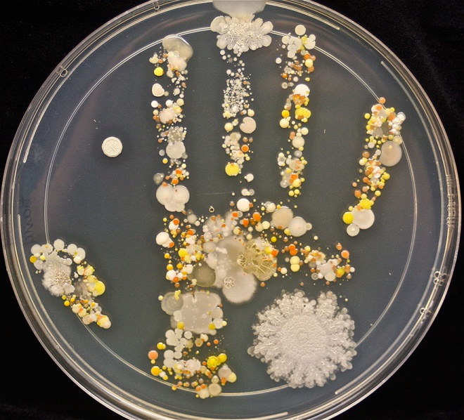 Mikrobák egy 8 éves gyerek kezén